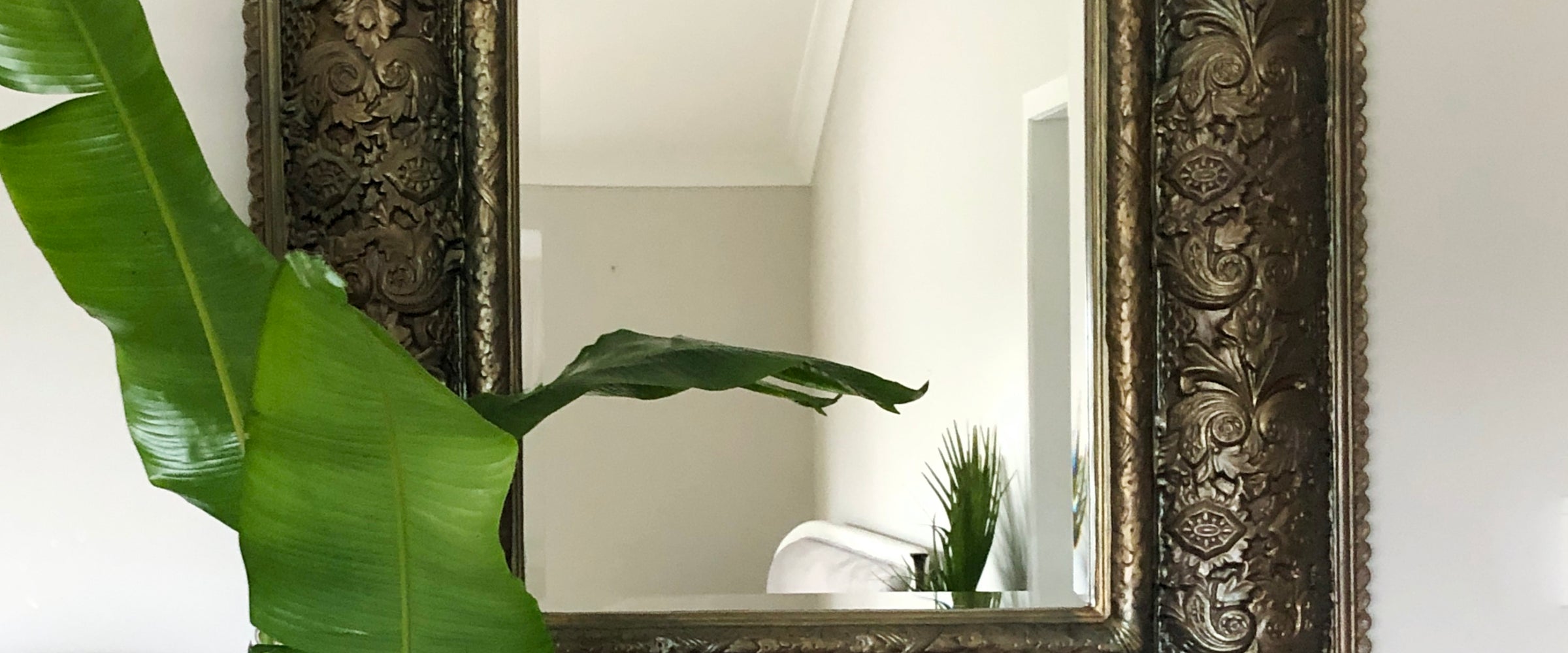 Tropical Vibes with Mirror Transformation : From White to Bronze – The ...
