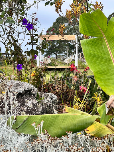 Pergola : Making our mark with the help of  Velvet Luxe and a few shots of the vege garden