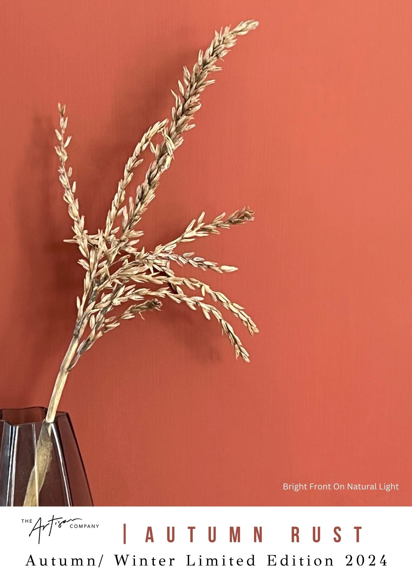 Feature wall painted in Autumn Rust – rich burnt orange Velvet Luxe in natural light