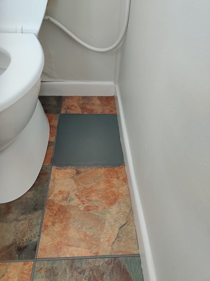 Painted Tiles: Hallway & Bathroom makeover by Jen S