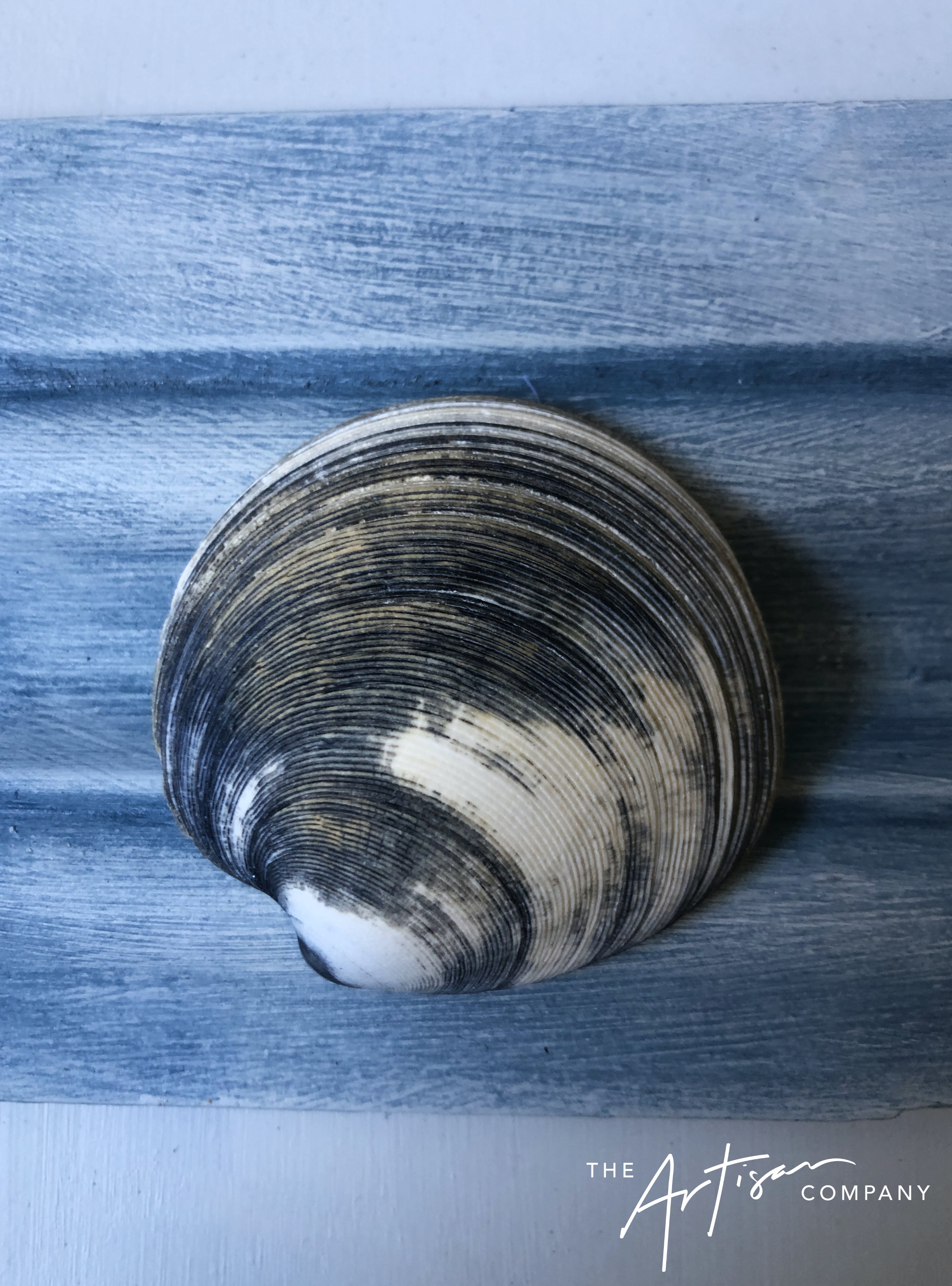 Beachy Blues