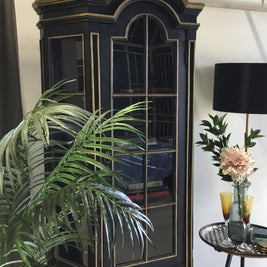 Not For Sale - Commissioned display cabinet