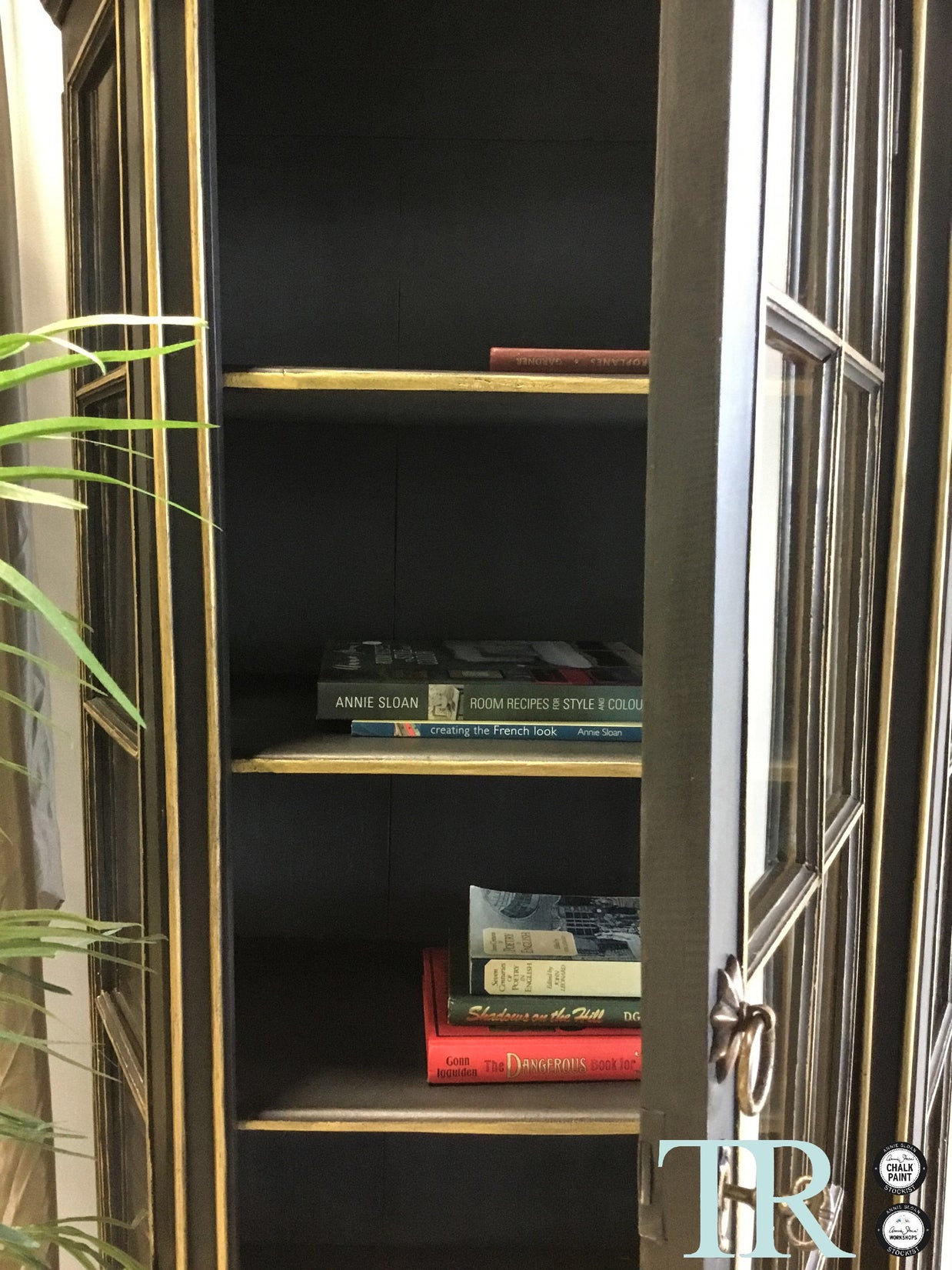 Not For Sale - Commissioned display cabinet