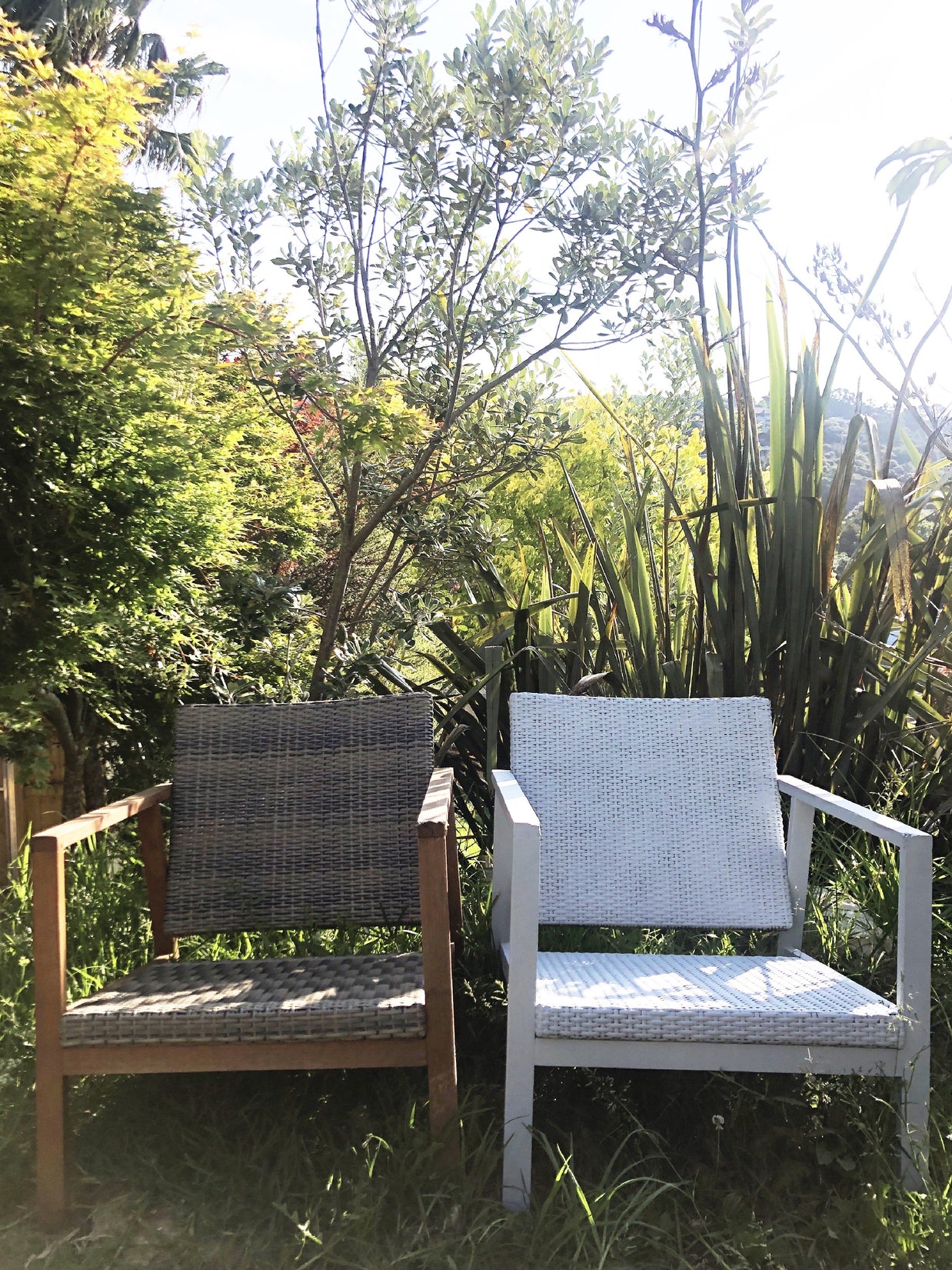 Outdoor in Chrysler with Vintro No Seal Chalk Paint