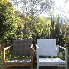 Outdoor in Chrysler with Vintro No Seal Chalk Paint