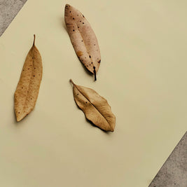 Cosy living with Kirimi wall paint