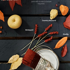 Autumn Mood