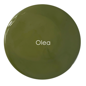 Olea chalk paint swatch – warm earthy olive green