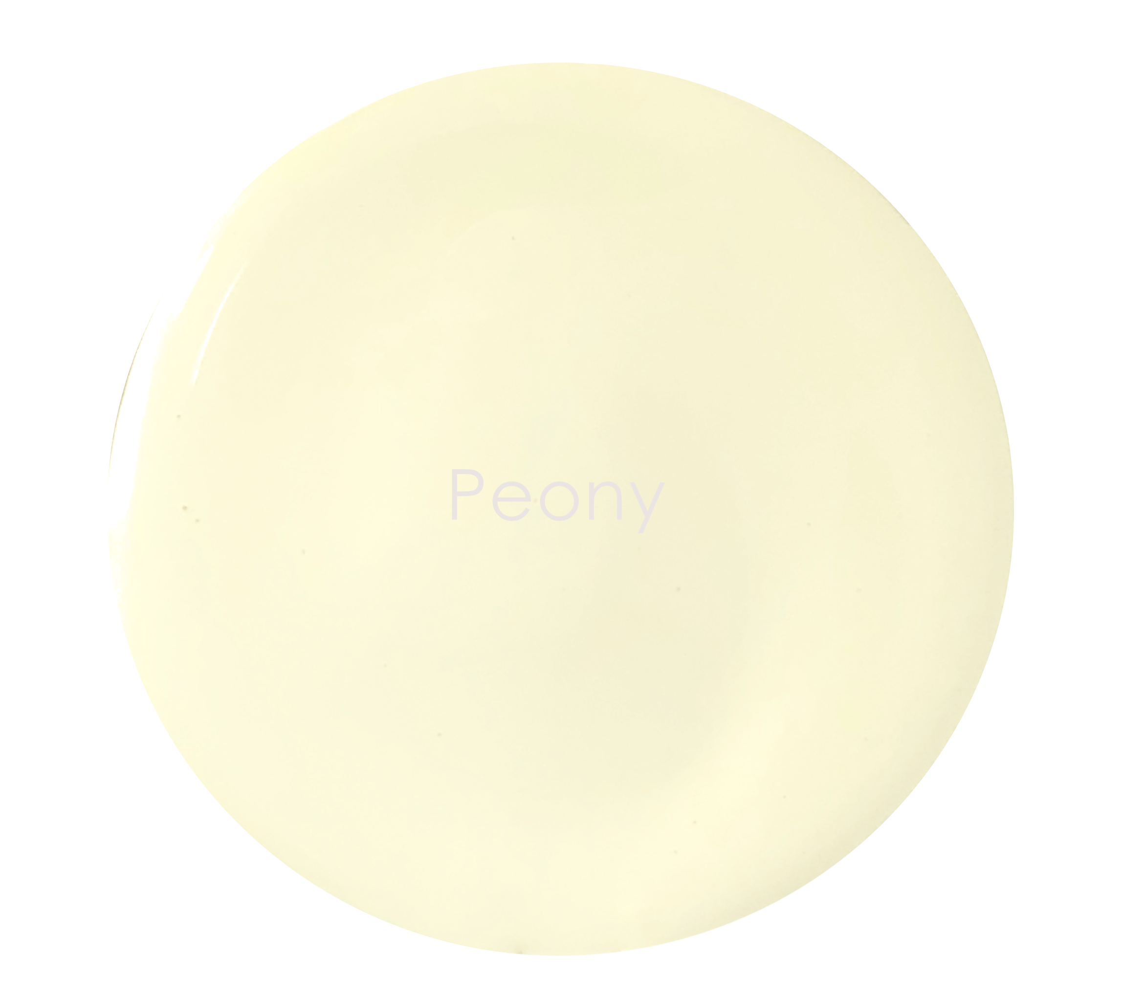 Light cream matte wall paint texture – Peony colour detail