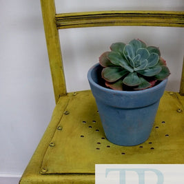 Not For Sale - Sally: Character wooden chair in english yellow