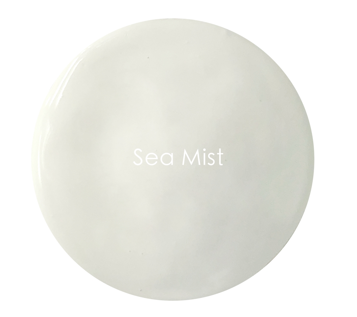 Soft delicate light grey matte wall paint texture – Sea Mist