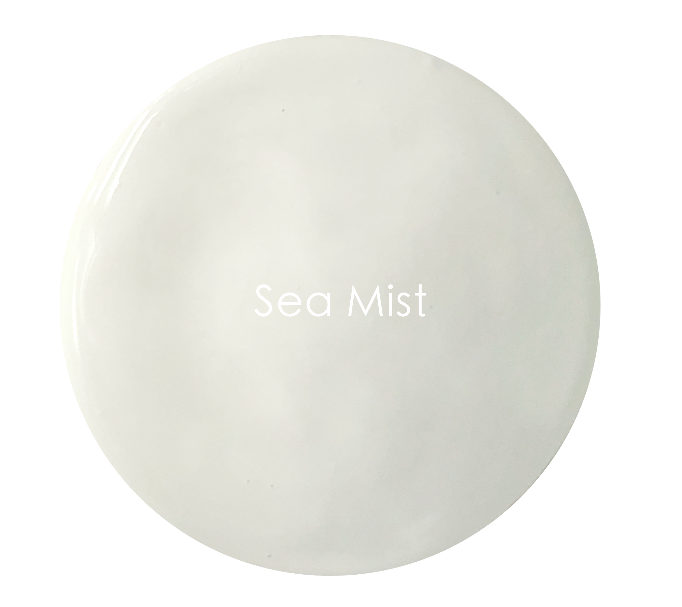 Soft delicate light grey matte wall paint texture – Sea Mist