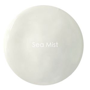 Soft delicate light grey matte wall paint texture – Sea Mist