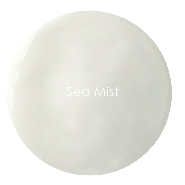 Soft delicate light grey matte wall paint texture – Sea Mist