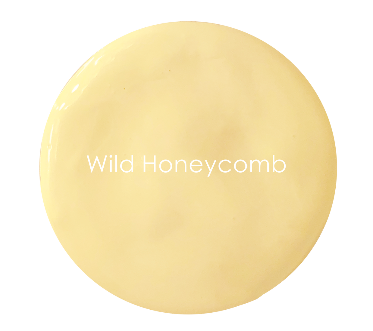 Wild Honeycomb wall paint swatch – warm deep cream yellow
