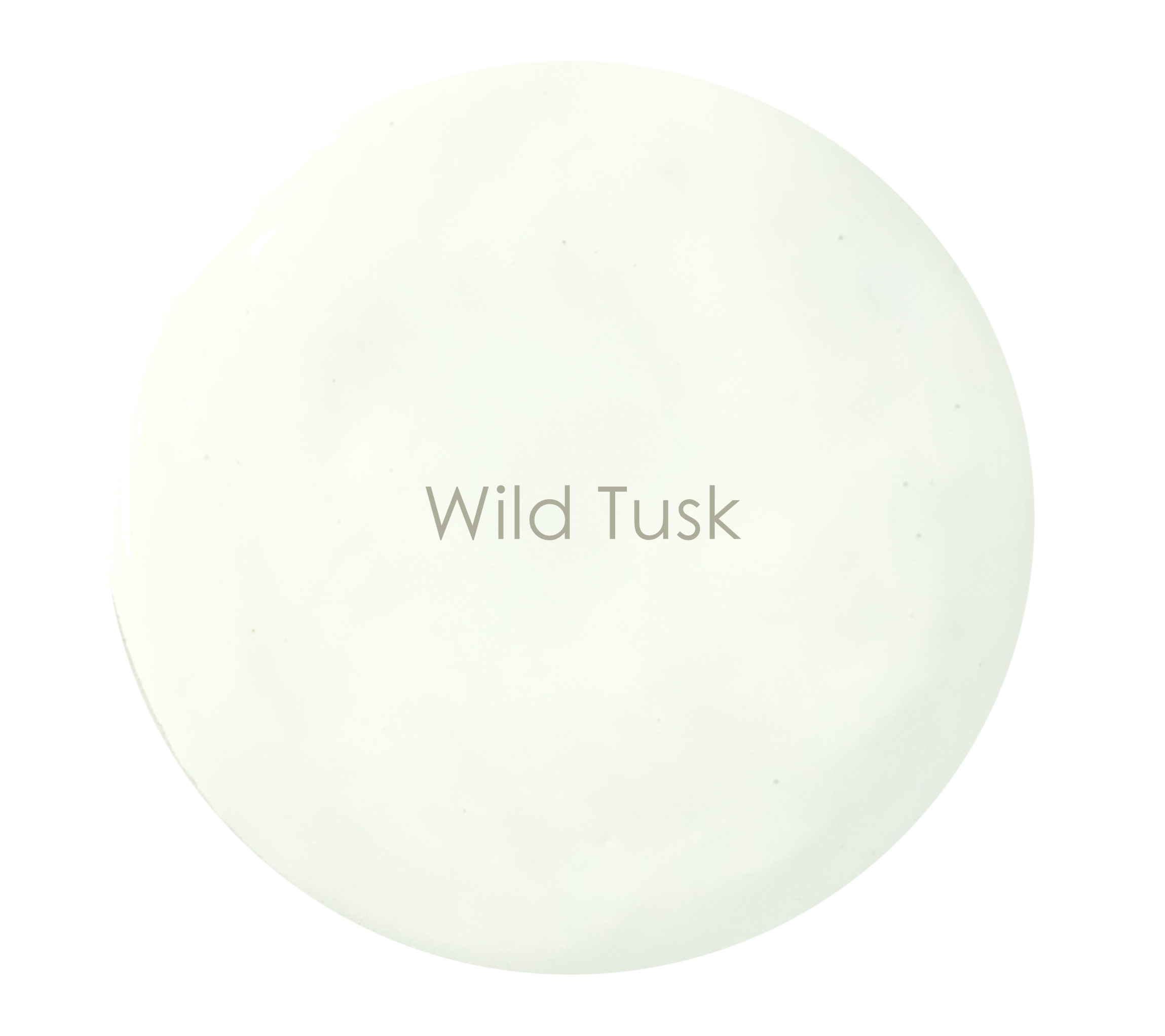 Soft ivory matte wall paint – Wild Tusk texture