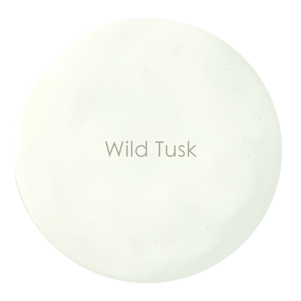 Soft ivory matte wall paint – Wild Tusk texture