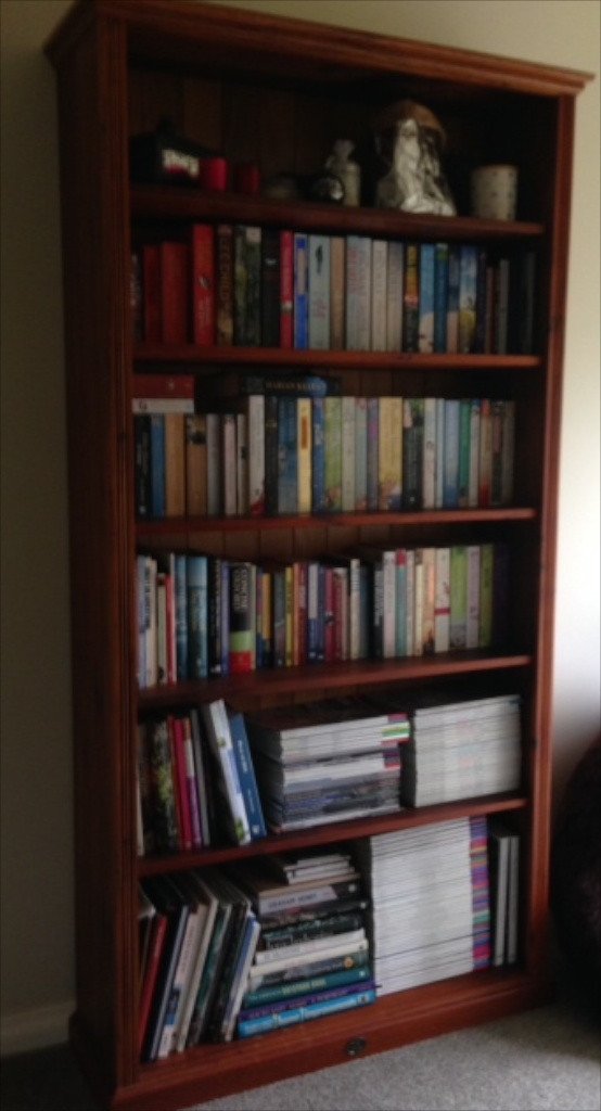 Commissioned book case