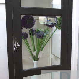 Commissioned glass display cabinet